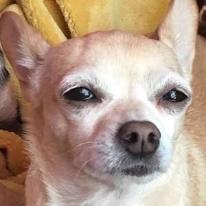 Meet your Posher, Rita